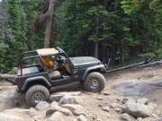 austin_in_the_rock_garden_part_2