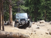 bob_in_the_rock_garden_part_1