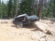 ladd_in_the_rock_garden_part_1