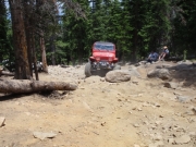 mark_in_the_rock_garden_part_1