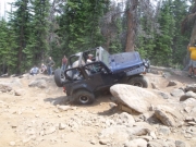 terry_in_the_rock_garden_part_2