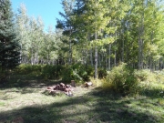 campsite