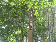 forest_service_sign