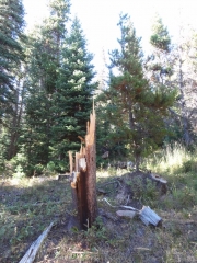 lightning_strike