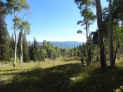 mountain_view