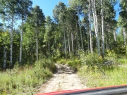 start_of_the_trail