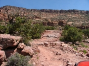 bumpy_rocky_road