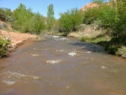 water_crossing_number_1_part_2