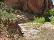 water_crossing_number_3