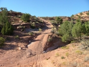 dirt_climb