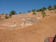 first_slickrock