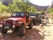 on_the_trail