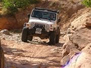 roger_on_the_trail