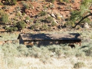 cabin
