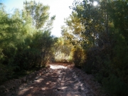 into_the_creek