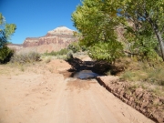 puddle
