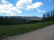 big_view