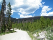 early_trail