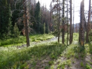willow_creek