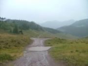 puddle