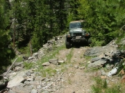 bob_on_the_overgrown_trail_part_1