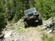 bob_on_the_overgrown_trail_part_2