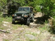 bob_on_the_trail