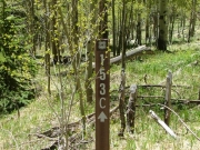 follow_this_sign
