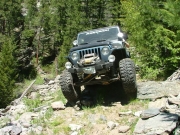 matt_on_the_overgrown_trail