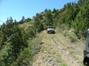 roger_on_the_trail