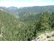 see_for_miles