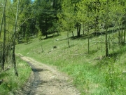 start_of_the_trail