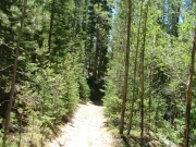 tight_trail