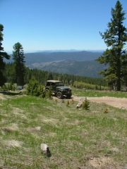 bob_on_the_trail