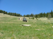 down_through_the_meadow