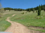 meadow_climb