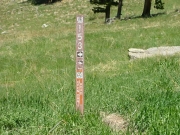 sign_at_storm_drain