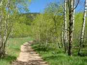 start_of_the_trail
