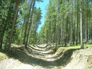 steep_and_rocky