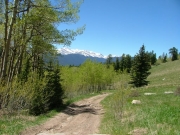 trail_with_a_view