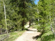 twisty_trail