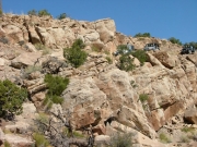 down_a_shelf_road