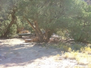 through_the_campsite_part_2
