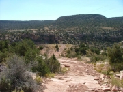 trail_continues
