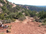 downhill