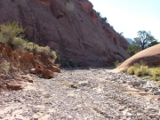 into_the_wash
