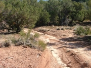 mellow_trail