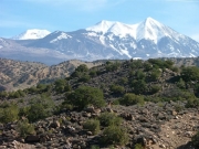 mountain_view