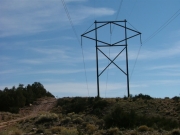 trans_line