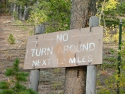 no_turn_around
